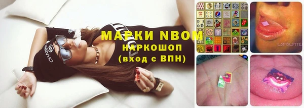 гашик Заволжск