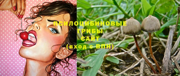 гашик Заволжск