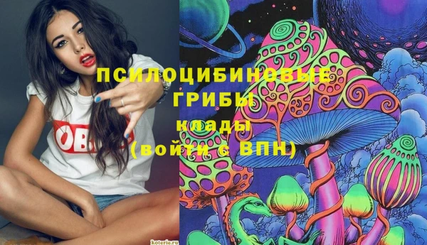 гашик Заволжск