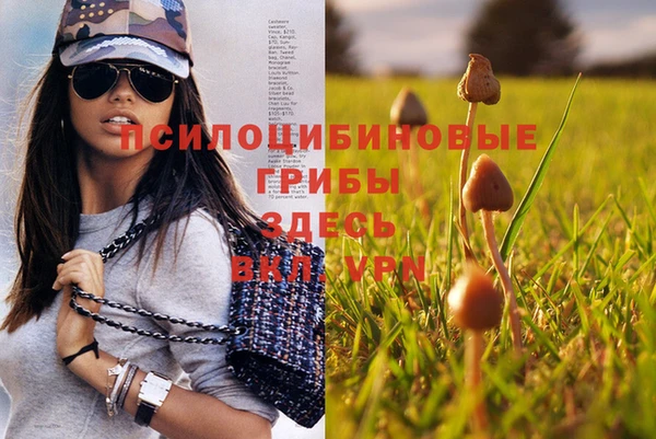 гашик Заволжск
