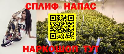 МДПВ Гагарин