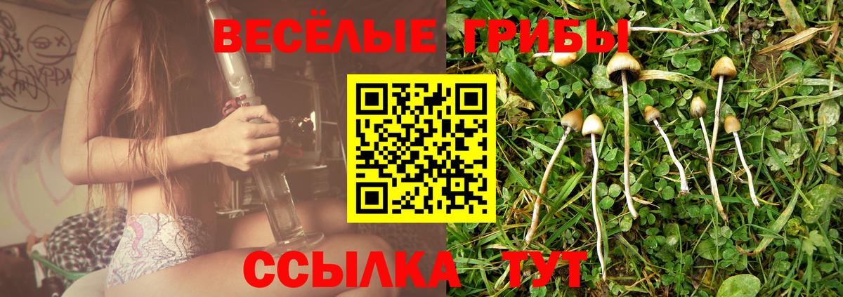 Ипатово  Псилоцибиновые грибы Psilocybe  Вход с VPN  сколько стоит  Псилоцибиновые грибы ЛСД 